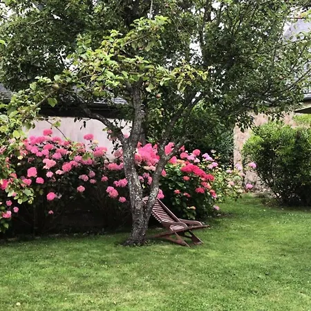 G40-tregastel - Ker Glen Ambiance Calme Et Cosy Pres De La Mae-5894 Apartment